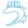 空击技能：.57 Air+瞬发弹.png