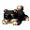Ui icon present 00 002.png