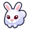 PetRabbit.png