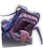 巨鲶icon.png