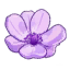 紫蕊.png