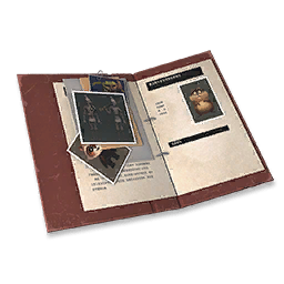 两页报告icon.png