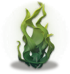 文件:海草.png