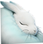 玉兔icon.png