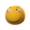 滑稽头套.png