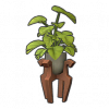 龟背竹摆件.png