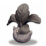 菜鸟石化.png