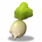 狐萝卜.png