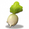 狐萝卜.png