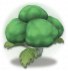 大头西兰花.png