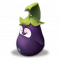 茄鹅.png