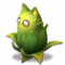 猫猫草.png