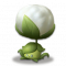 蒲公英.png