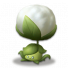 蒲公英.png