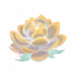 天山雪莲神圣.png