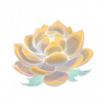 天山雪莲神圣.png