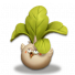 菜鸟.png