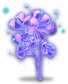 龙爪花月光.png