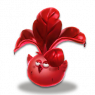 菜鸟血色.png
