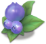 布丁蓝莓.png