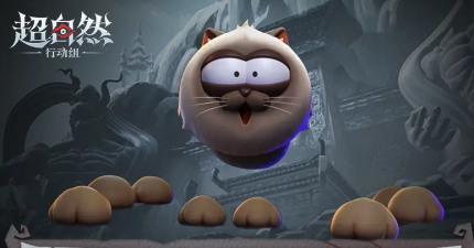 猫猫蛛.png