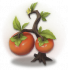 好柿.png
