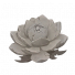 天山雪莲石化.png