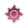 太阳牌icon.png
