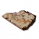壁画碎片.png