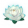 天山雪莲.png