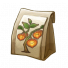 新年灯笼草种子.png