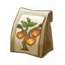 新年灯笼草种子.png