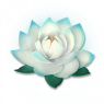 天山雪莲icon.png