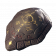 龙骨天书icon.png