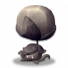 蒲公英石化.png