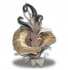 尸香魔芋石化.png