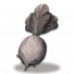 狐萝卜石化.png