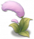 猫尾草.png