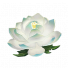 天山雪莲农场.png