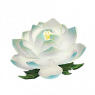 天山雪莲农场.png