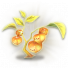 新年灯笼草神圣.png