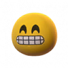 嘻嘻头套.png