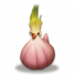 蒜鸟.png