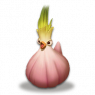 蒜鸟.png