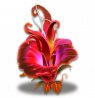 尸香魔芋血色.png