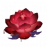 天山雪莲血色.png