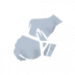 爱丽丝技能2.png