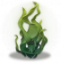海草.png