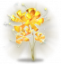 龙爪花神圣.png