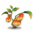 新年灯笼草.png